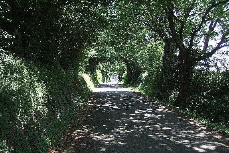 2010-06- (73).JPG